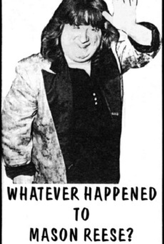 Poster 1 de Curta O Que Aconteceu com Mason Reese (1990)