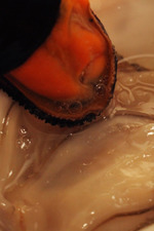 Jennifer and Tiffany (Jennifer and Tiffany: A Monday Night in the Bathroom)