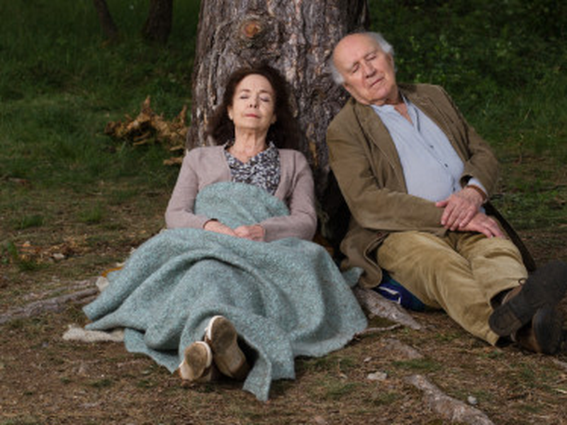 Foto 7 de Le goût des myrtilles 