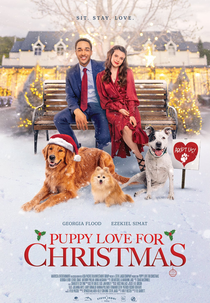 Adotando Amor no Natal (Puppy love for Christmas)