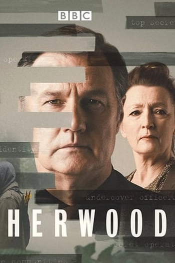 Poster de Série Sherwood (2022)