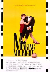 Construindo Um Cara Certinho (Making Mr. Right)