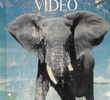 National Geographic Video - Elefante