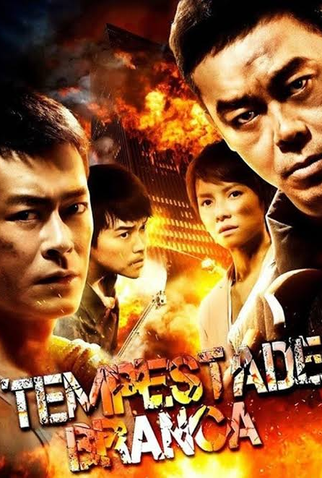 Poster 1 de Filme Tempestade Branca (2013)