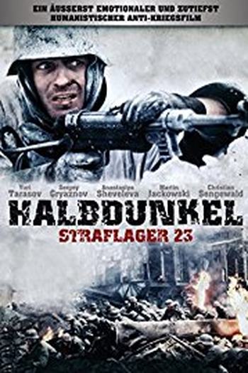 Poster de Filme Polumgla (2006)