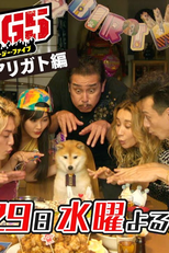 Nanba MG5: Zenkai Baribaride Arigato-hen (ナンバMG5: 全開バリバリでアリガト 編)