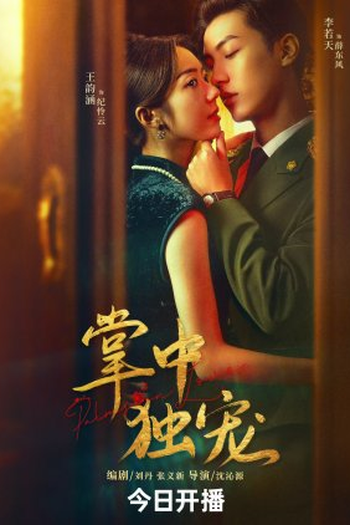 Poster de Série Palms on Love (2024)