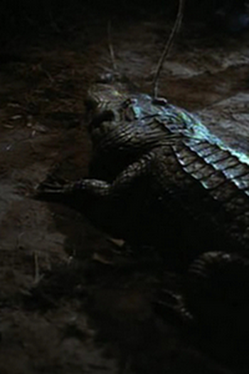 Poster de Episódio Poisonous (1992)