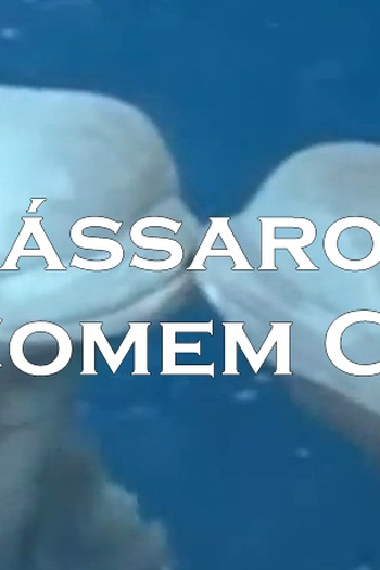 Poster de Curta Pássaros Não Comem Caviar (2012)