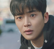 낙화1