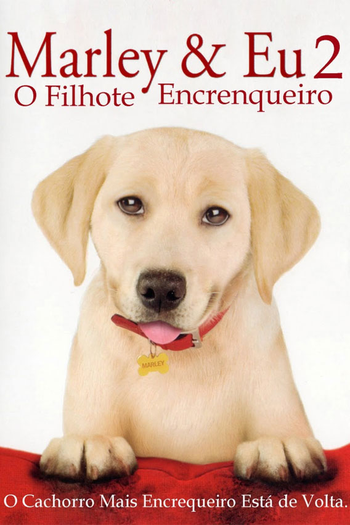  de Filme Marley e Eu 2: O Filhote Encrenqueiro (2011)
