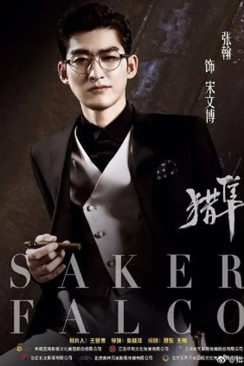 Poster de Série Saker Falco (2022)