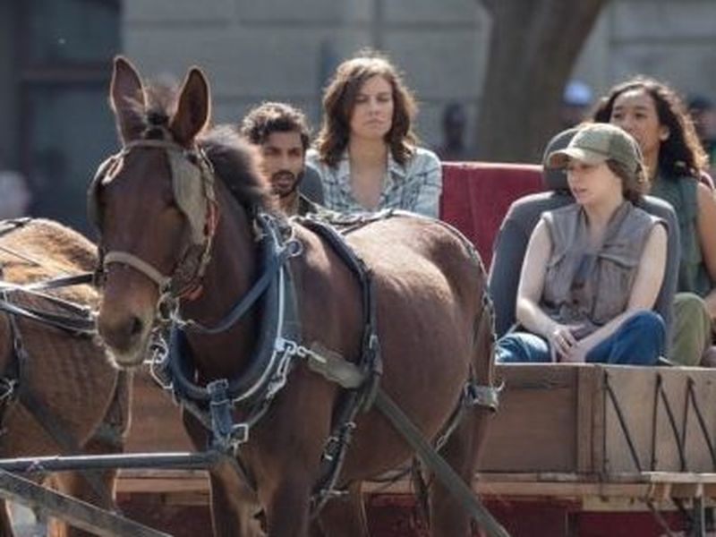 Foto 28 de The Walking Dead (9ª Temporada)
