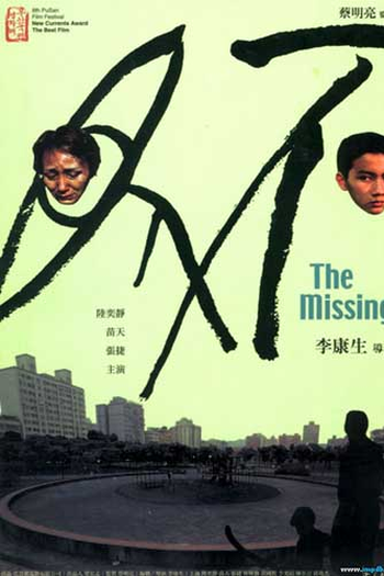 Poster de Filme O Desaparecido (2003)