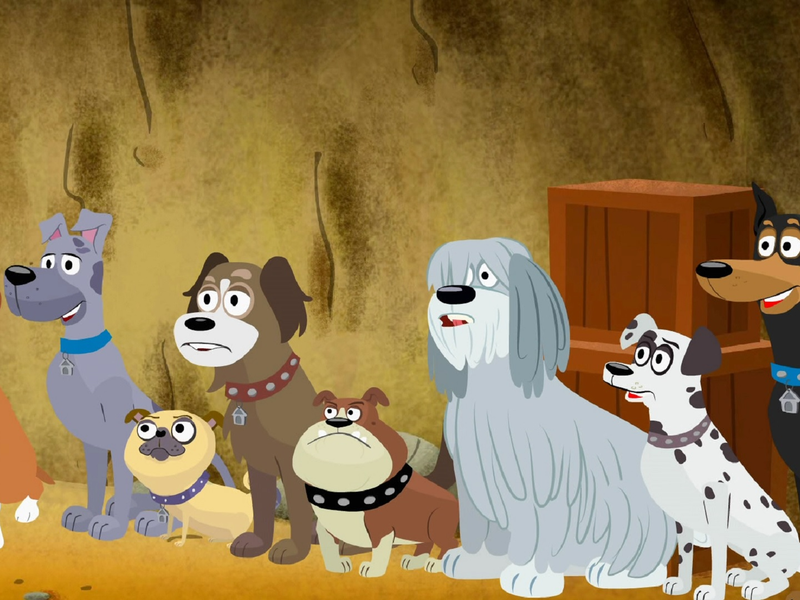 Foto 4 de Cãezinhos do Canil