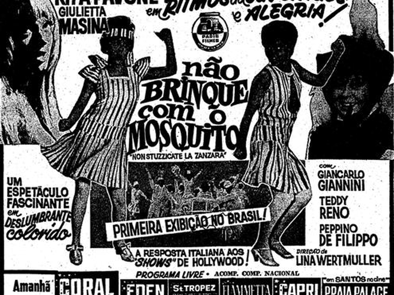 Foto 1 de Não Brinque com o Mosquito
