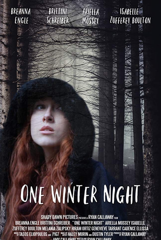 Poster 1 de Filme One Winter Night (2019)