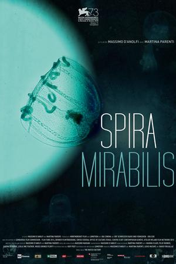 Poster de Filme Spira Mirabilis (2016)