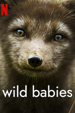 Filhotes Selvagens (1ª Temporada) (Wild Babies (Season 1))
