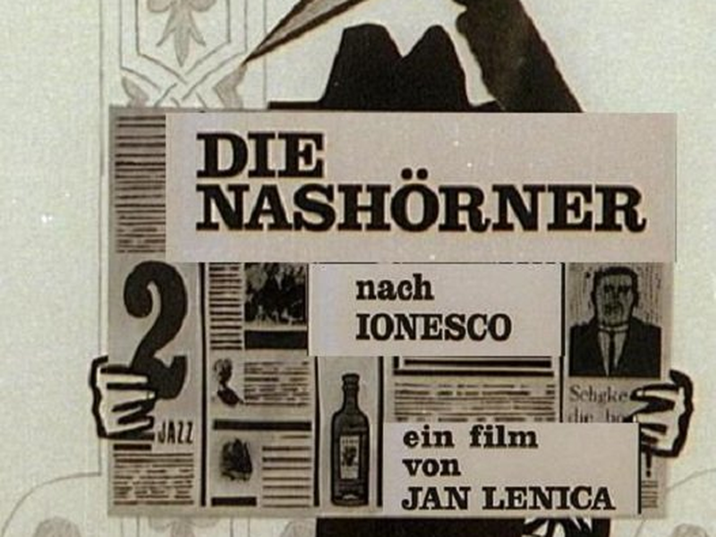 Foto 1 de O Rinoceronte