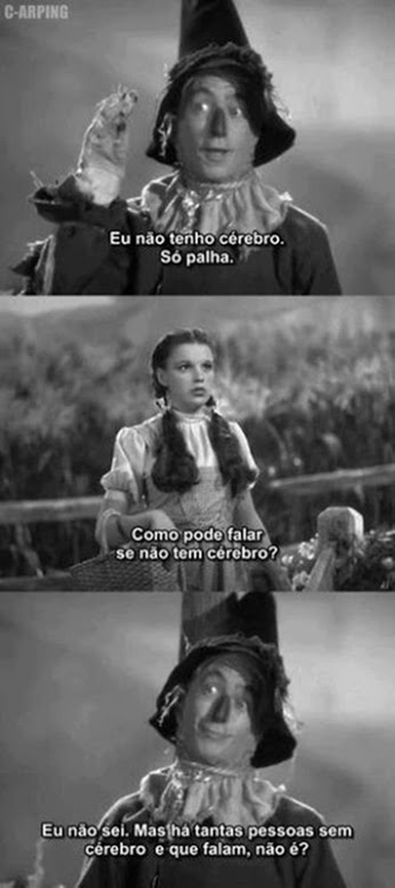 ♪♪  Li   ♪♪ - Foto 6