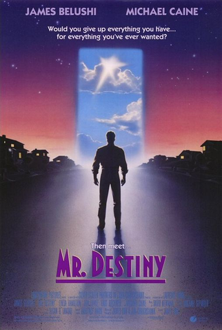 Poster 1 de Filme Destino em Dose Dupla (1990)