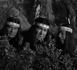 Here Comes the Tribe