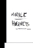 Marble Hornets (1ª Temporada)