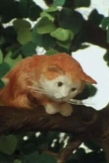 Poster de Episódio Lost Cat (1987)