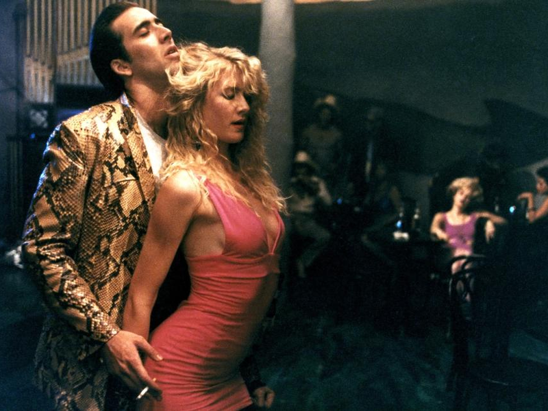 Foto 51 de Coração Selvagem