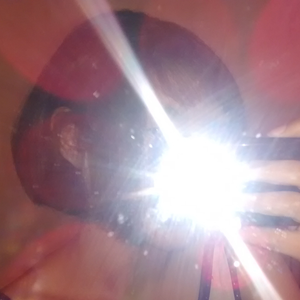 Foto de perfil de Larissa
