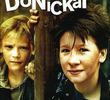 Dårfinkar & dönickar