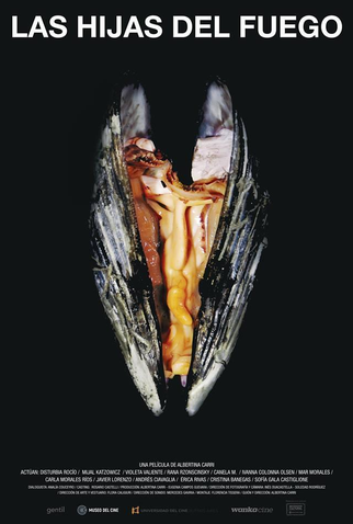 Poster 2 de Filme As Filhas do Fogo (2018)