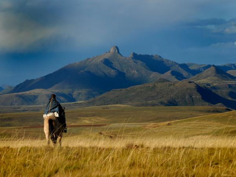 Foto 4 de The Forgotten Kingdom