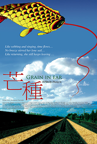 Poster 1 de Filme Grãos de Areia (2005)