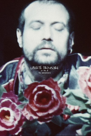 Poster 3 de Curta Liberté provisoire (1977)