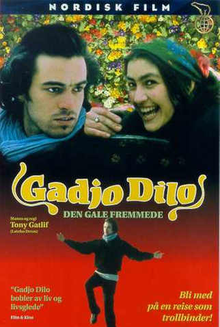 Poster 2 de Filme O Estrangeiro Louco (1997)