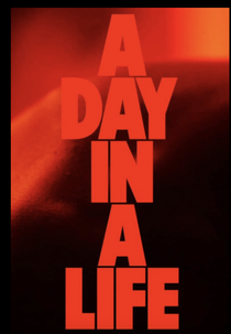 A Day in a Life (A Day in a Life)