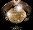 Night of Champions 2010