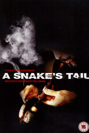 Poster de Filme A Cauda da Serpente (2005)