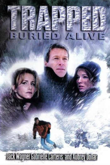 Poster de Filme Resgate na Neve (2002)