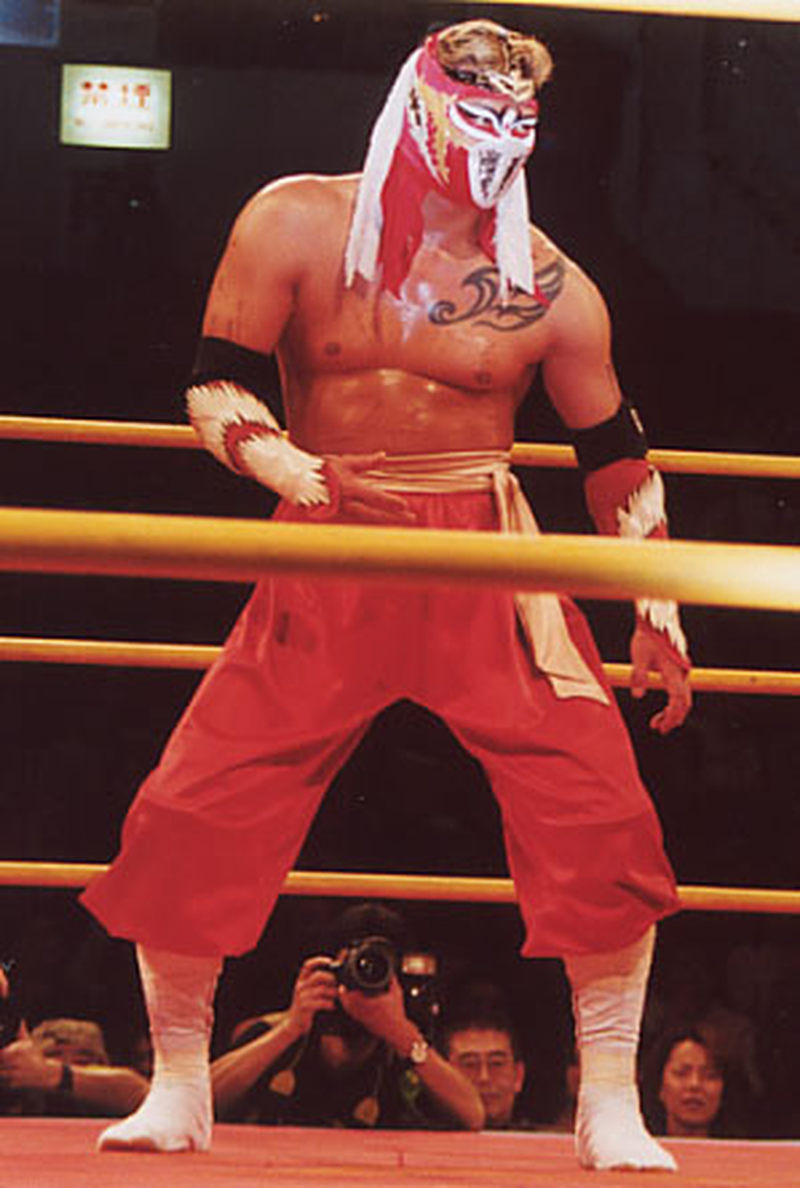 Hayabusa - Foto 4