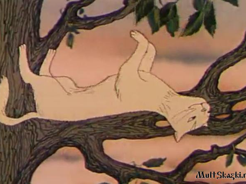 Foto 3 de A Árvore e a Gata