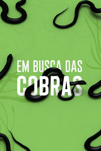 Poster de Franquia Em Busca das Cobras (2020)
