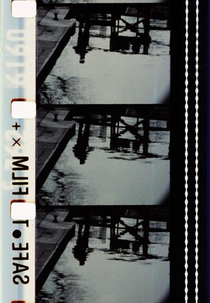 Pluie de roses (à Rose Lowder) (Pluie de roses (à Rose Lowder))