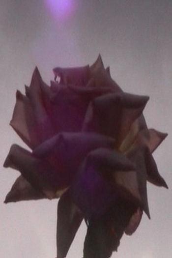 Poster de Curta L’arrière-saison (2007)