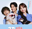 Hatsukoi DOGs