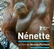 Nénette