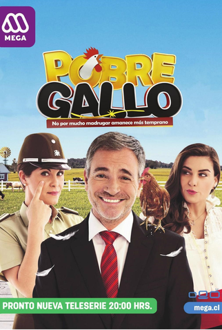 Poster 2 de TV Pobre Gallo (2016)