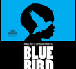 O Pássaro Azul
